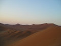 Dune 45