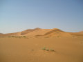 Sossusvlei