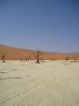 Deadvlei