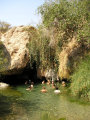 Warmquelle Sesfontein