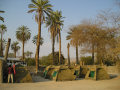 Sesfontein