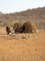 Himba village