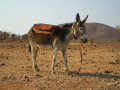 Himba village