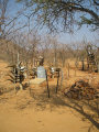 Himba cemetry