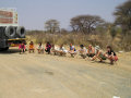 Toilet stop !